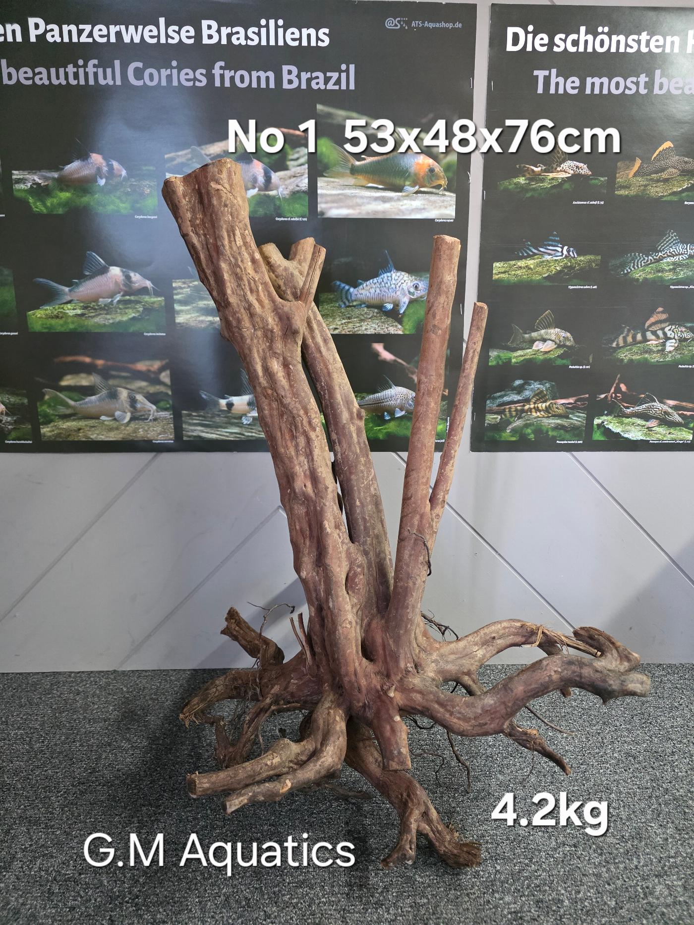 Black stump wood No 1 53x48x76 cm - Image 3