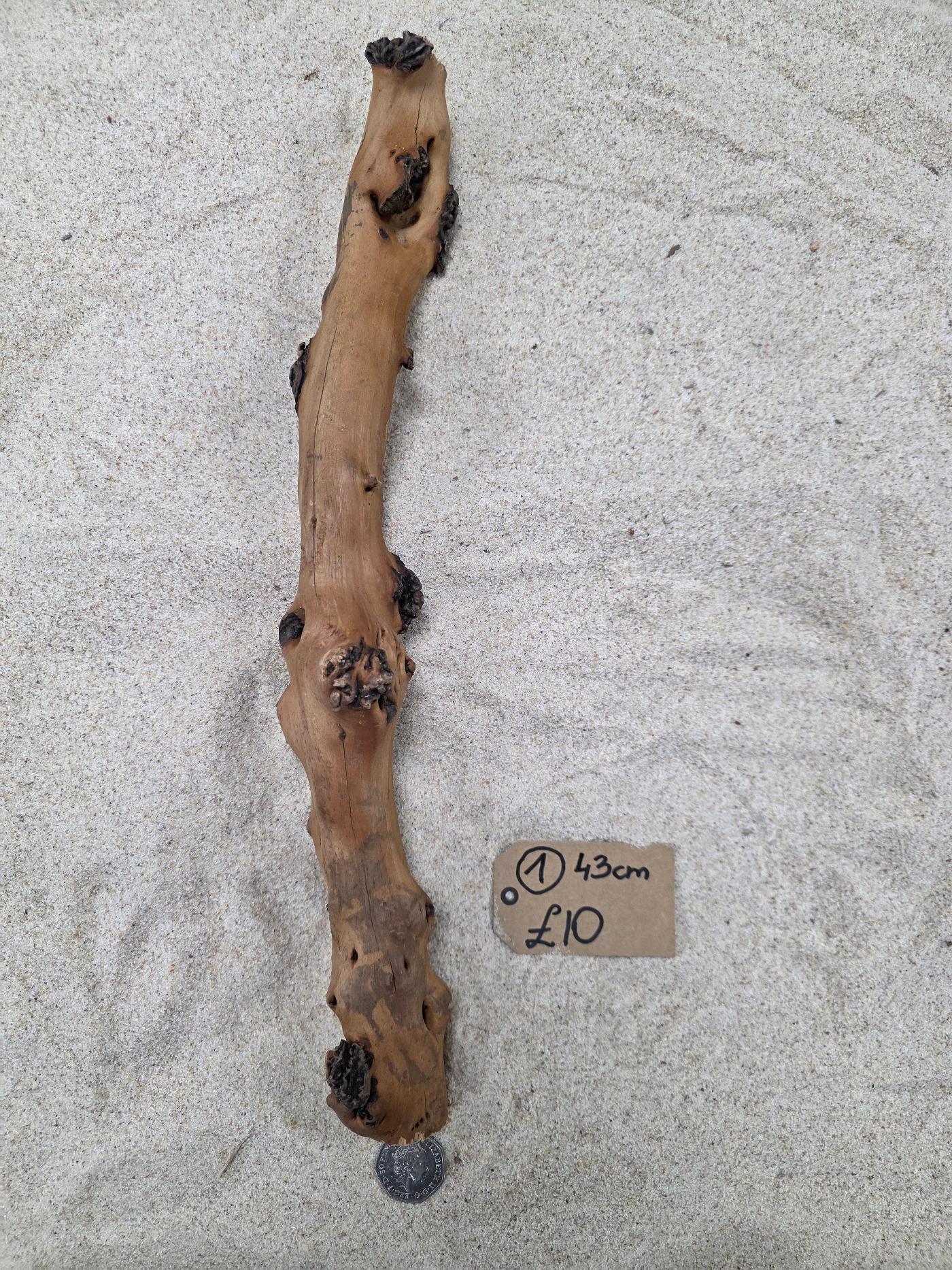 SAVA WOOD STRAIGHT WOOD - Image 16