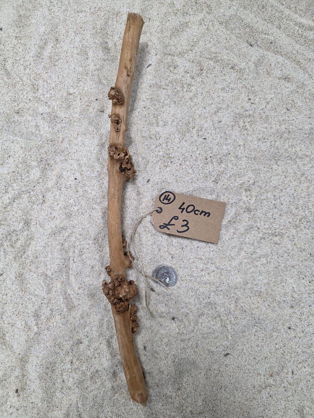 SAVA WOOD STRAIGHT WOOD - Image 3