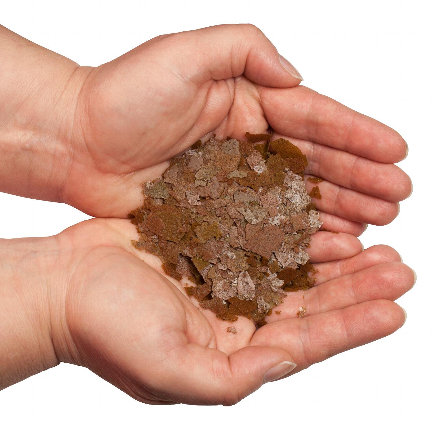 Discusfood Best Heart Flakes Super Growth - Image 3