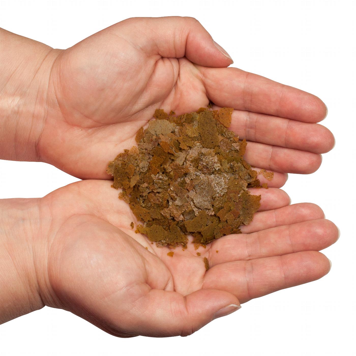 Discusfood Best Heart Flakes Red Dream - Image 3