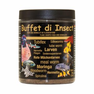 Discusfood Buffet di Insect