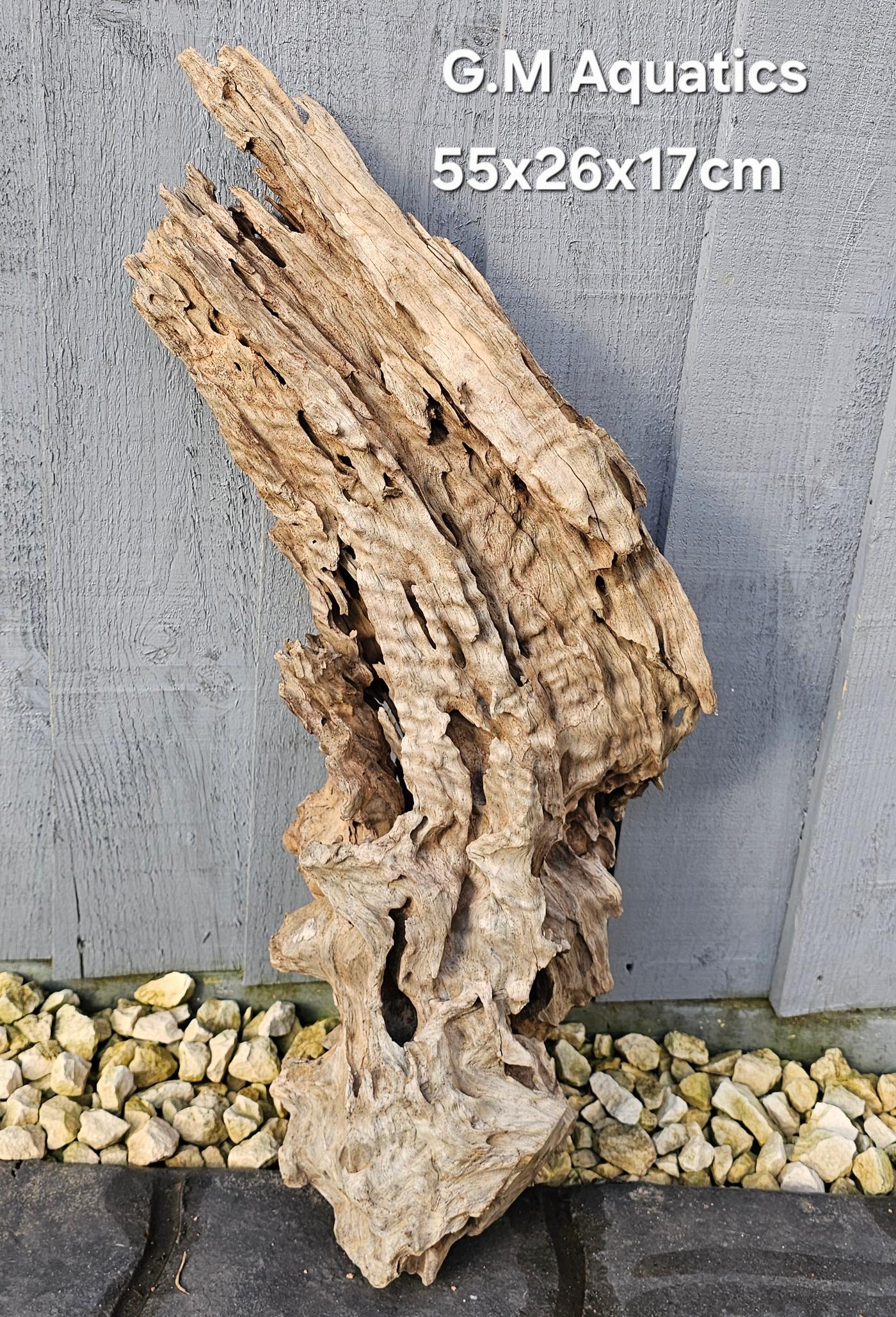 Natural Honeycomb Wood No 1 Catfish Shrimp 3.1kg - Image 3