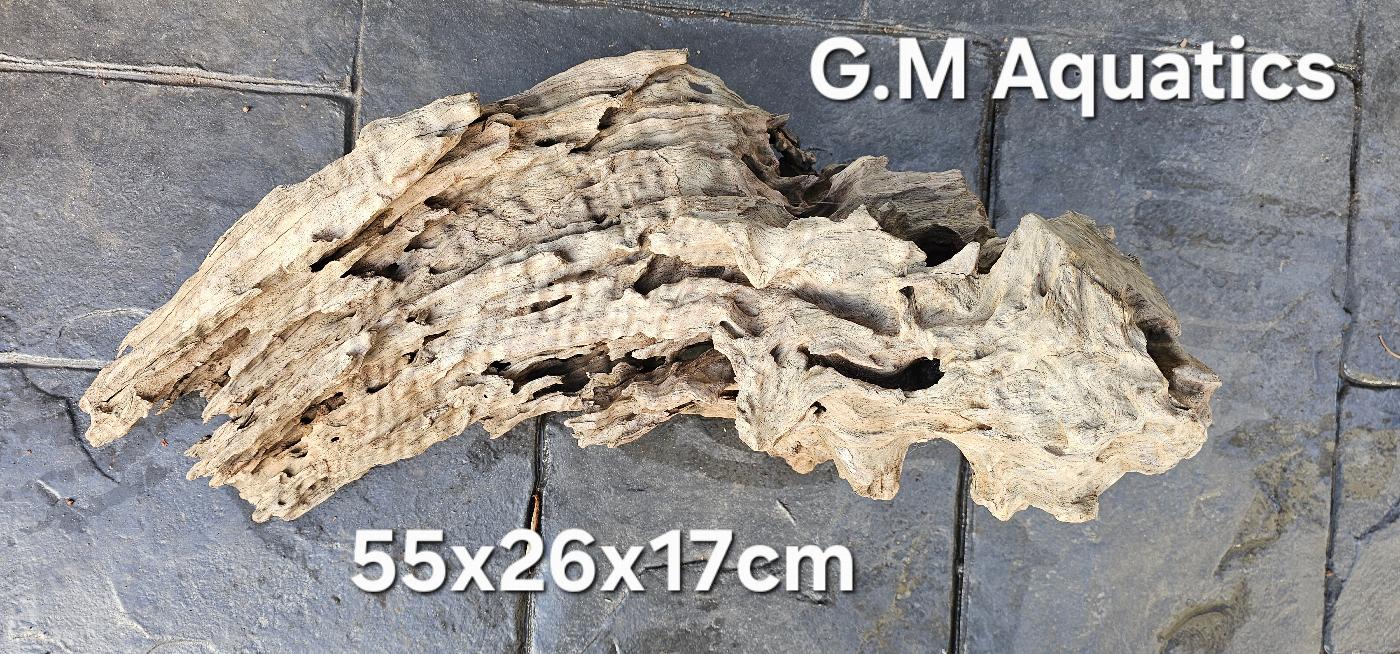 Natural Honeycomb Wood No 1 Catfish Shrimp 3.1kg - Image 2