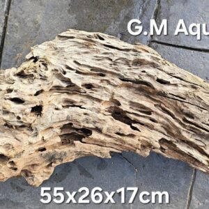 Natural Honeycomb Wood  No 1 Catfish Shrimp 3.1kg