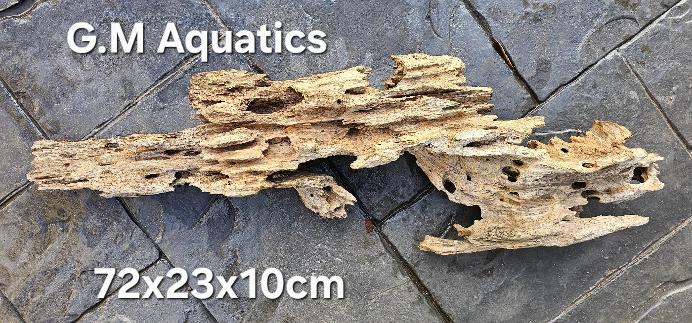 Natural Honeycomb Wood No 2 Catfish Shrimp 1.8kg