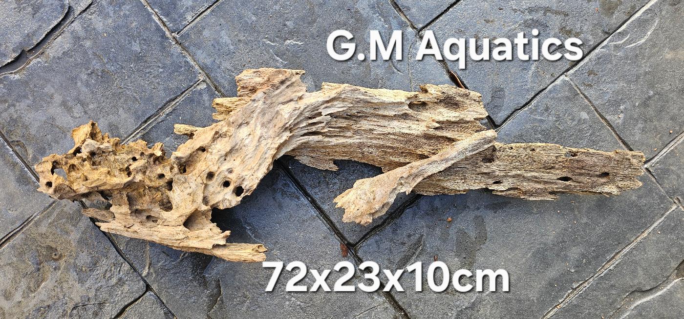 Natural Honeycomb Wood No 2 Catfish Shrimp 1.8kg - Image 2