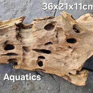 Natural Honeycomb Wood No 3 Catfish Shrimp  1.4 kg