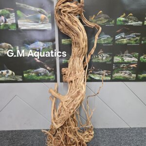 Azalea S-shaped No 7  93x33x27cm