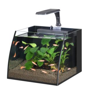 Belly Box 30 fish tank - 16L
