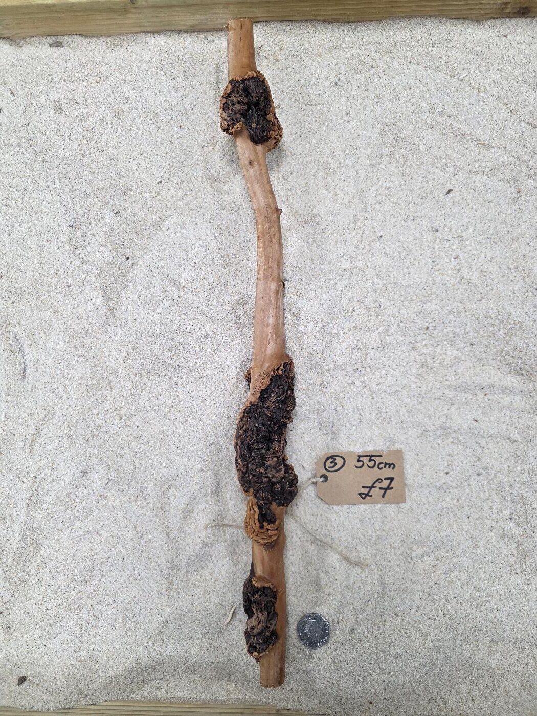 SAVA WOOD STRAIGHT WOOD - Image 14