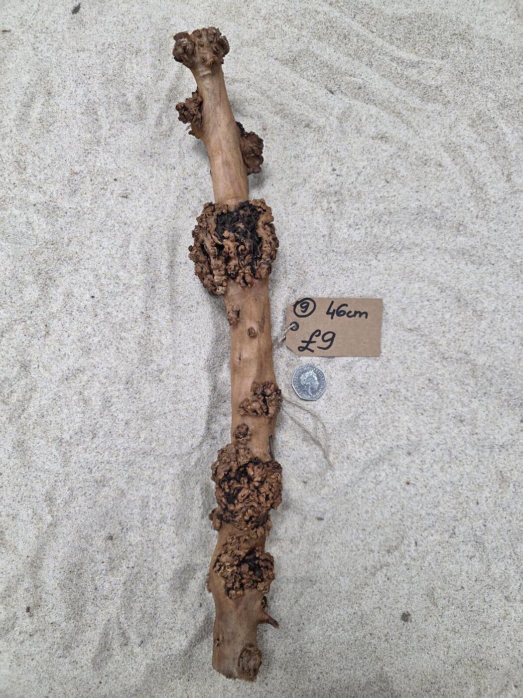 SAVA WOOD STRAIGHT WOOD - Image 8