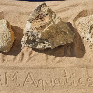 Absorbent Stone