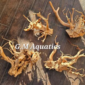 Red moor / Azalea wood  - medium size pieces