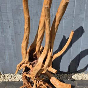 Red moor / Azalea wood stump no 10