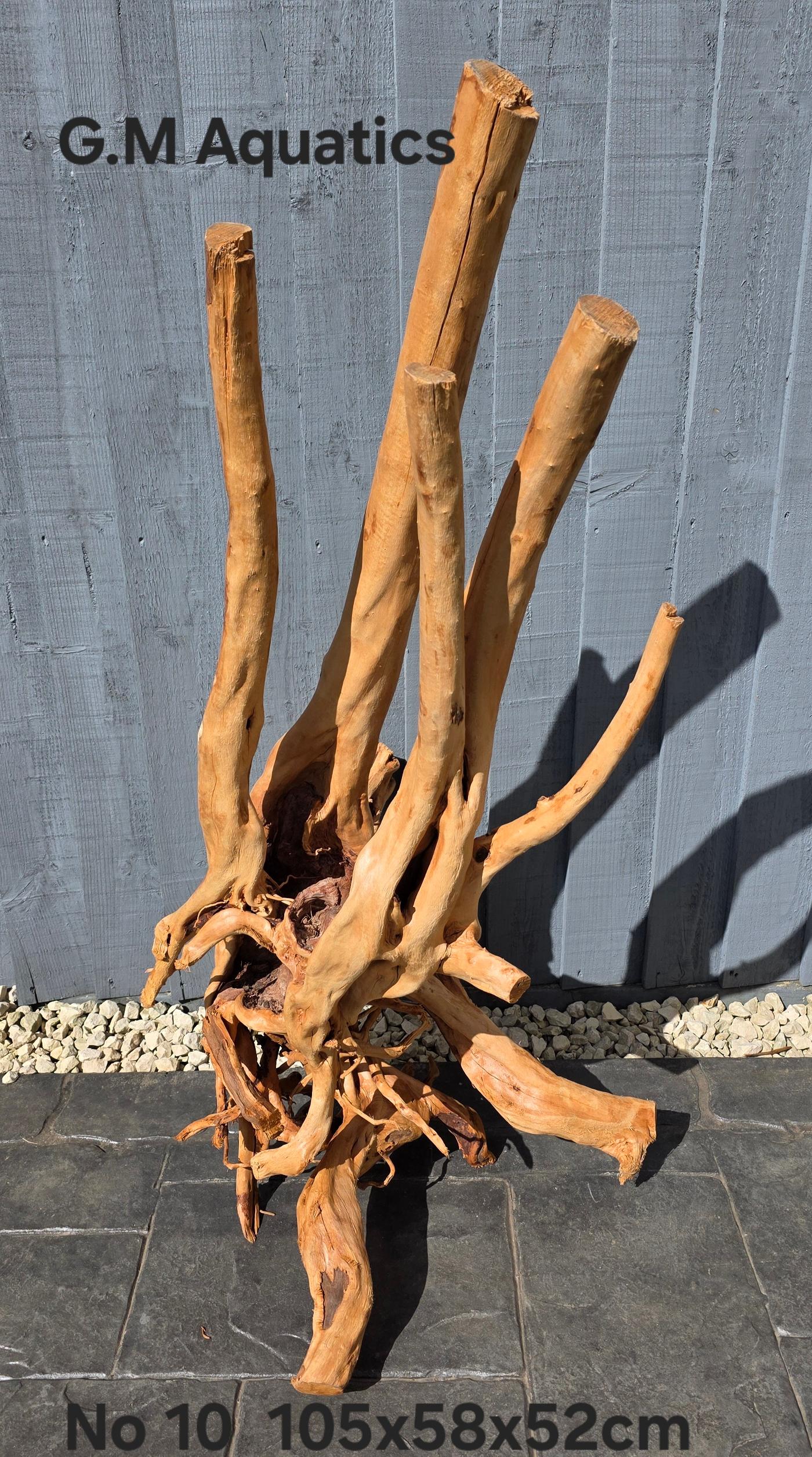 Red moor / Azalea wood stump no 10