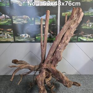 Black stump wood No 1
