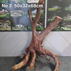 Black stump wood No 3