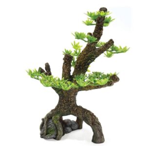 Pine  13.5x9x21.3cm CH60016