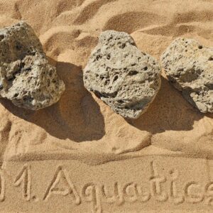 Float Stone
