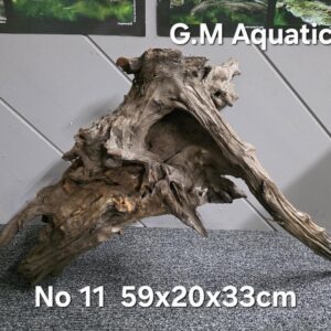 Cunninghamia Lanceolata - hollow wood No 11