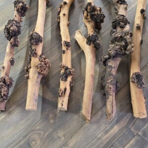 SAVA WOOD STRAIGHT WOOD