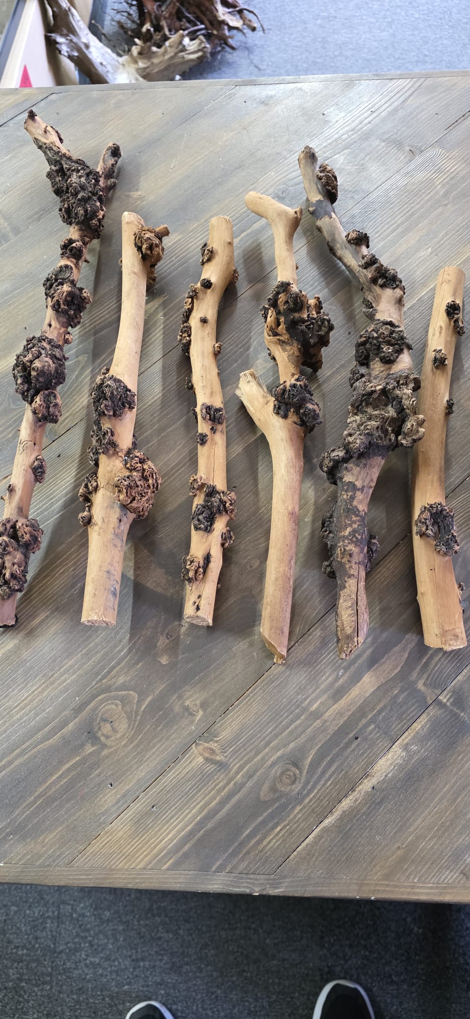 SAVA WOOD STRAIGHT WOOD