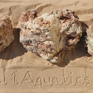 Melaleuca Stone