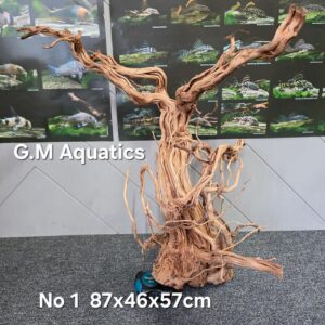 Azalea s-shaped No 1