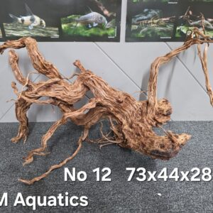 Azalea S-shaped  No 12  73x44x28cm