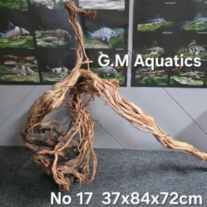 Azalea s-shaped No 17
