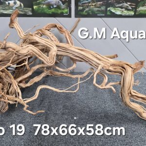 Azalea S-shaped  No 19  78x66x58cm