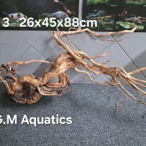 Azalea s-shaped No 3