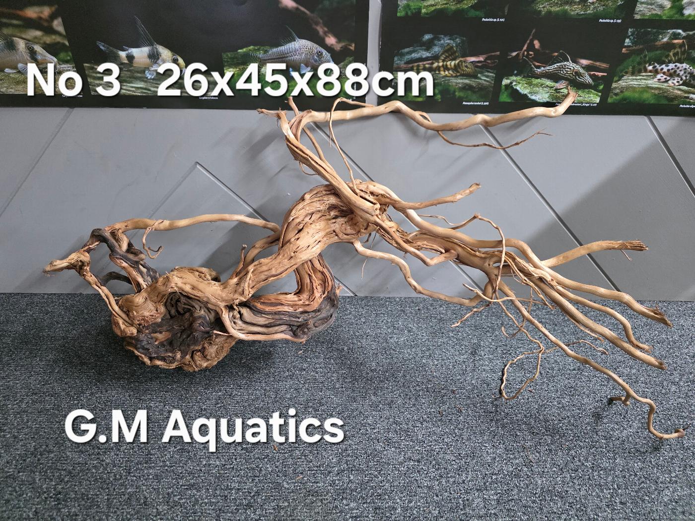 Azalea s-shaped No 3