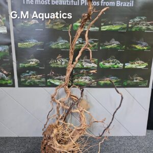 Azalea s-shaped No 5