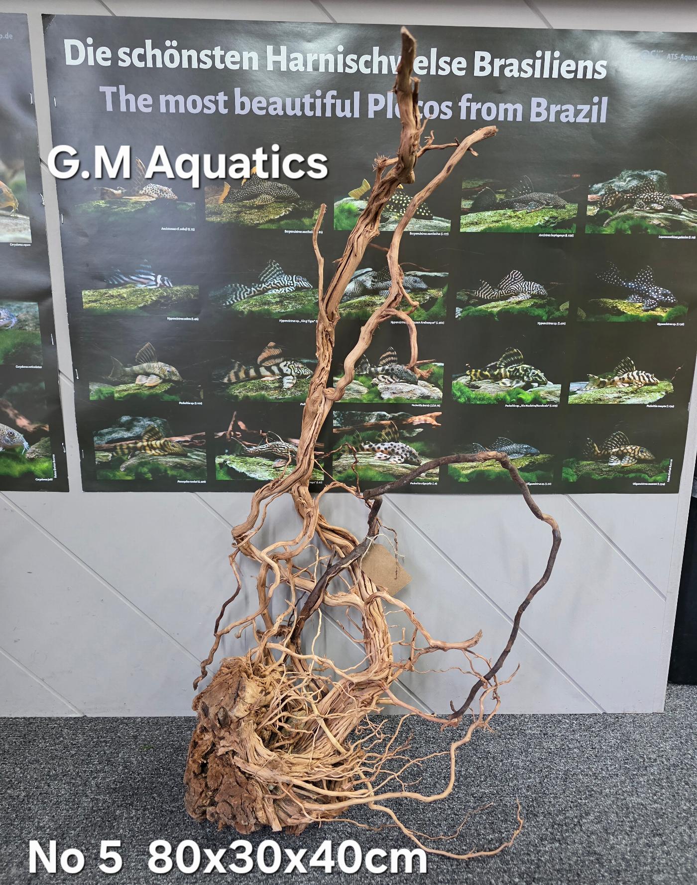 Azalea s-shaped No 5