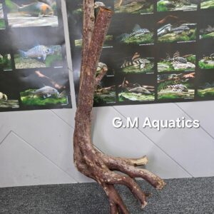 Black stump wood No 22