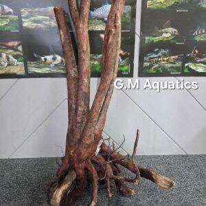Black stump wood No 24