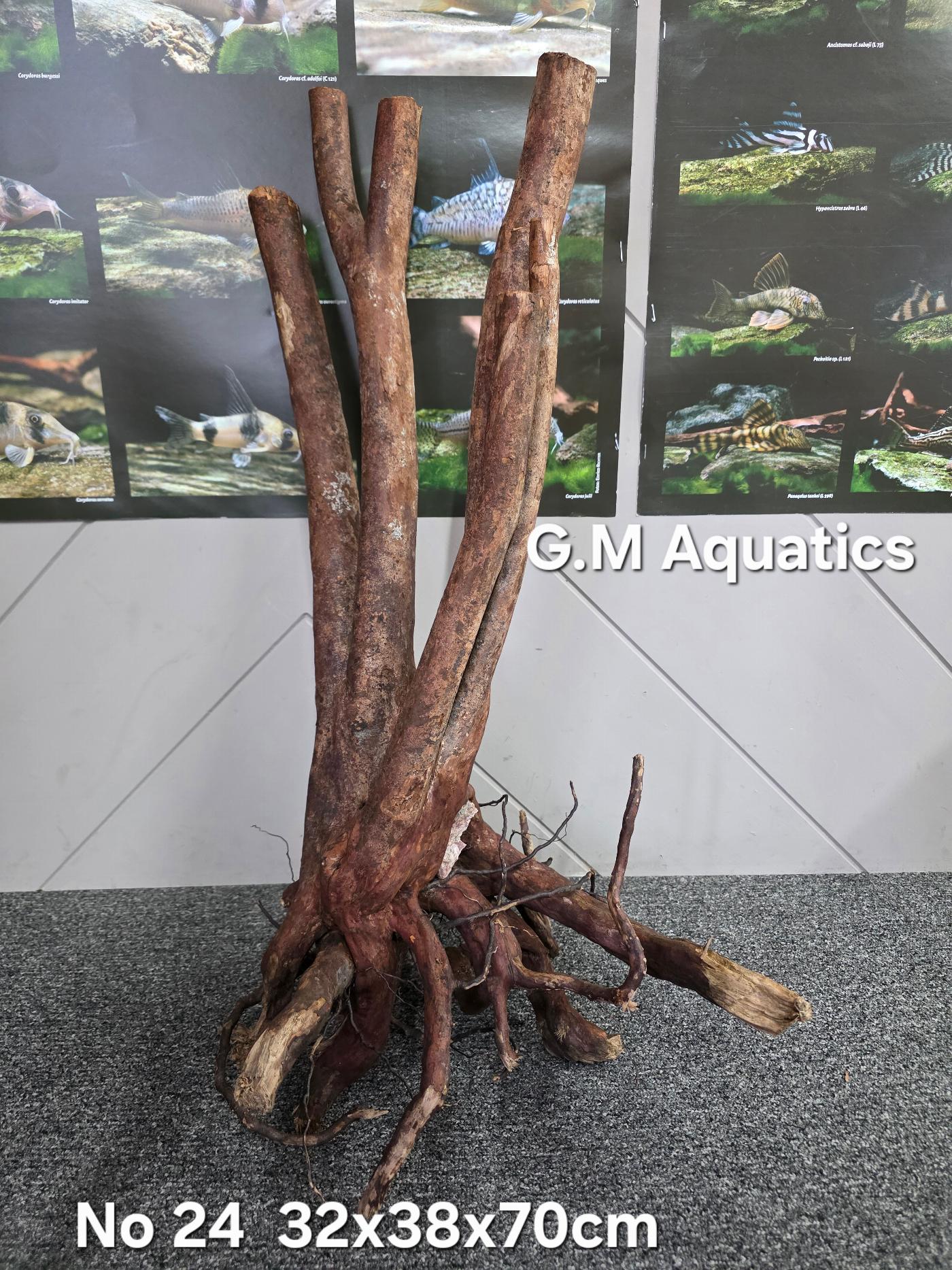 Black stump wood No 24