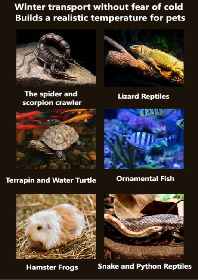 Thermal Heat Pack For Transport Live Fish Insects Reptiles Plants Warm Heat Pack 48 hours - Image 8