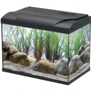 FISH TANK RECTANGULAR GLASS AQUARIUM NT MODELS