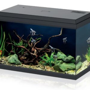 FISH TANK RECTANGULAR GLASS AQUARIUM SIMPLY 600