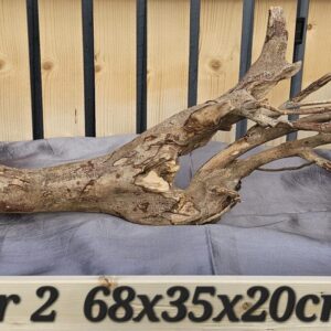 Talawa wood