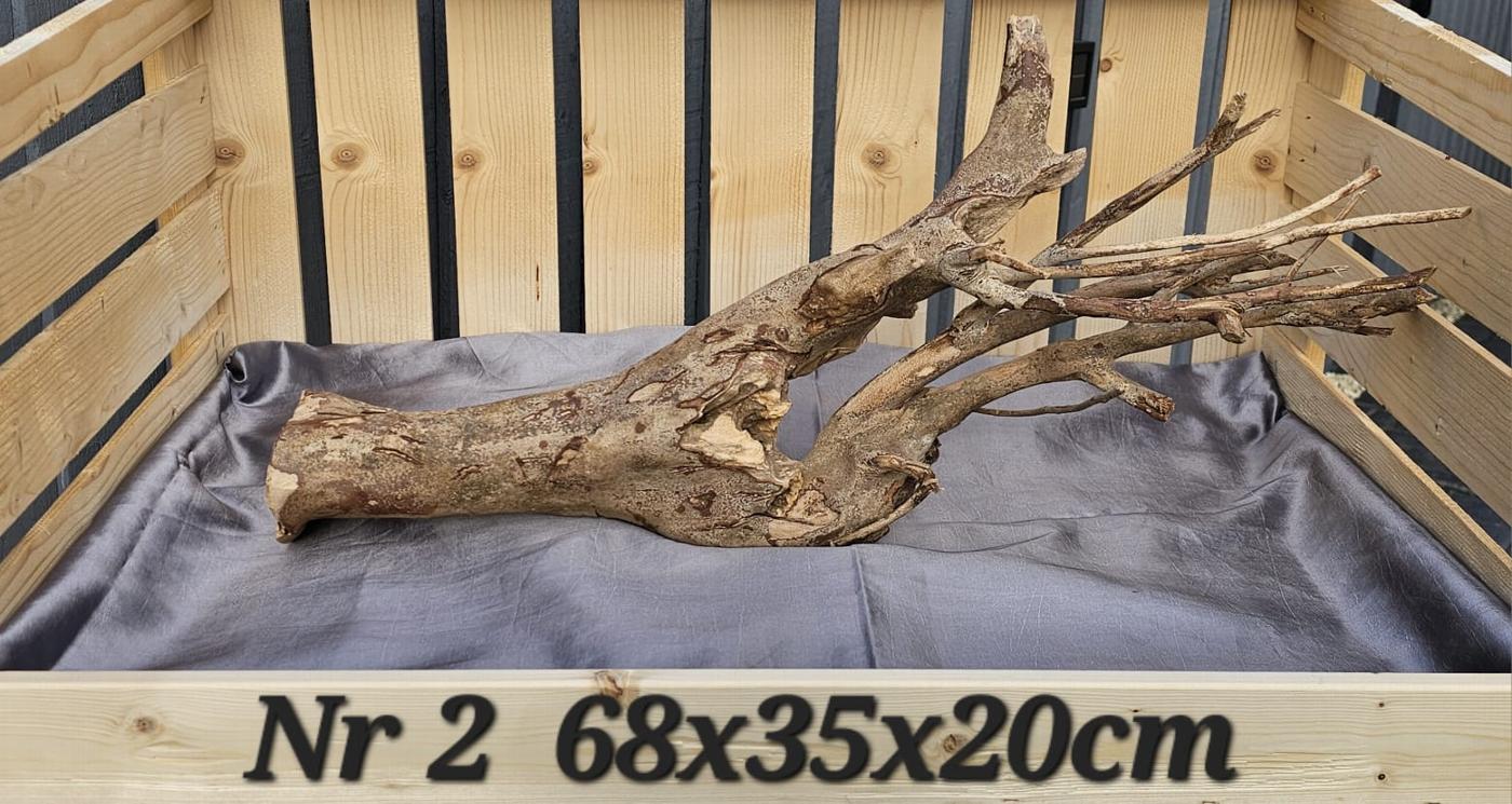 Talawa wood