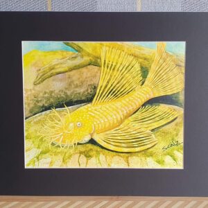 Sam Scalz Art Photo prints from U.S.