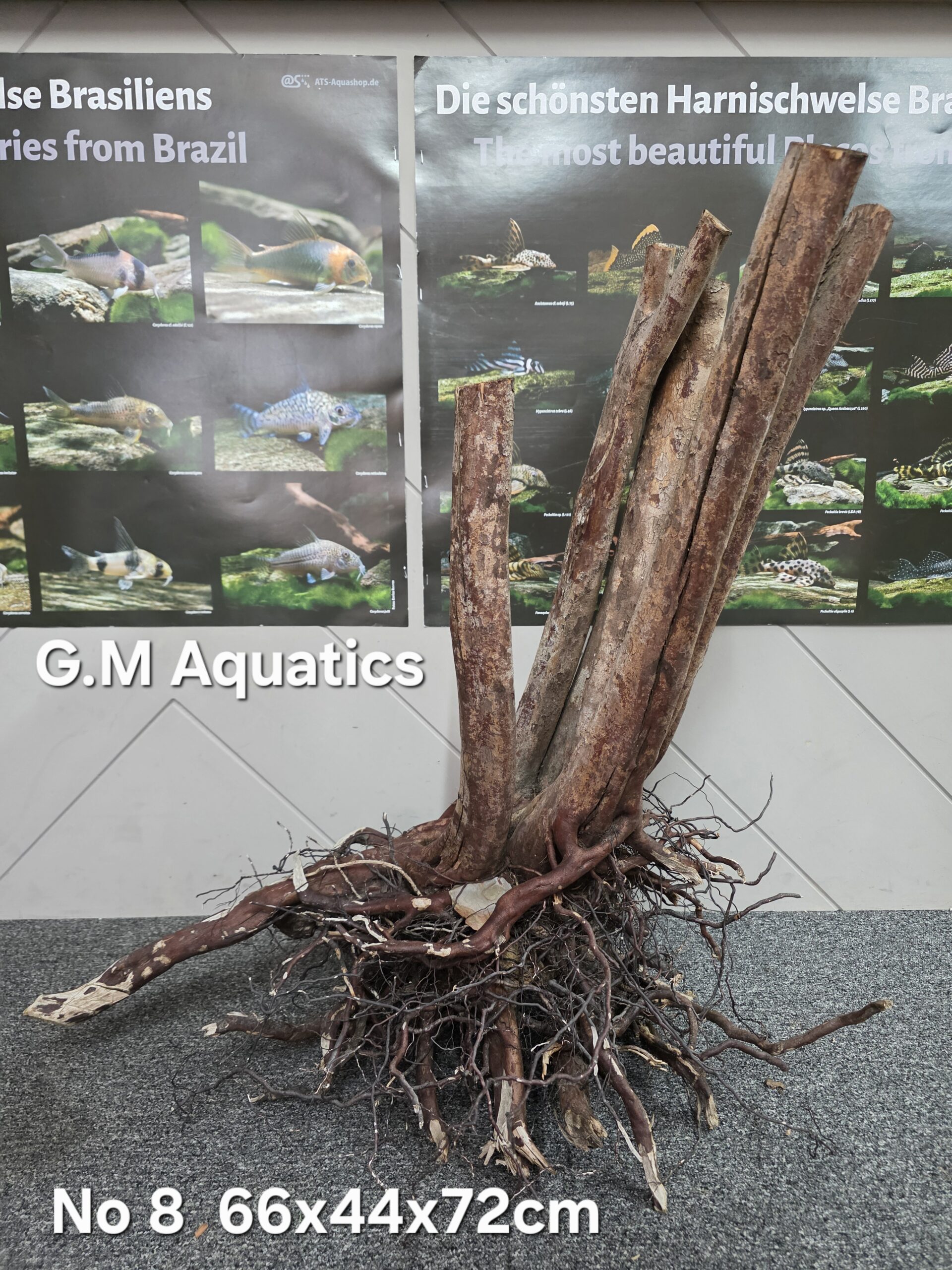 Black stump wood No 8 66x44x72cm - Image 2