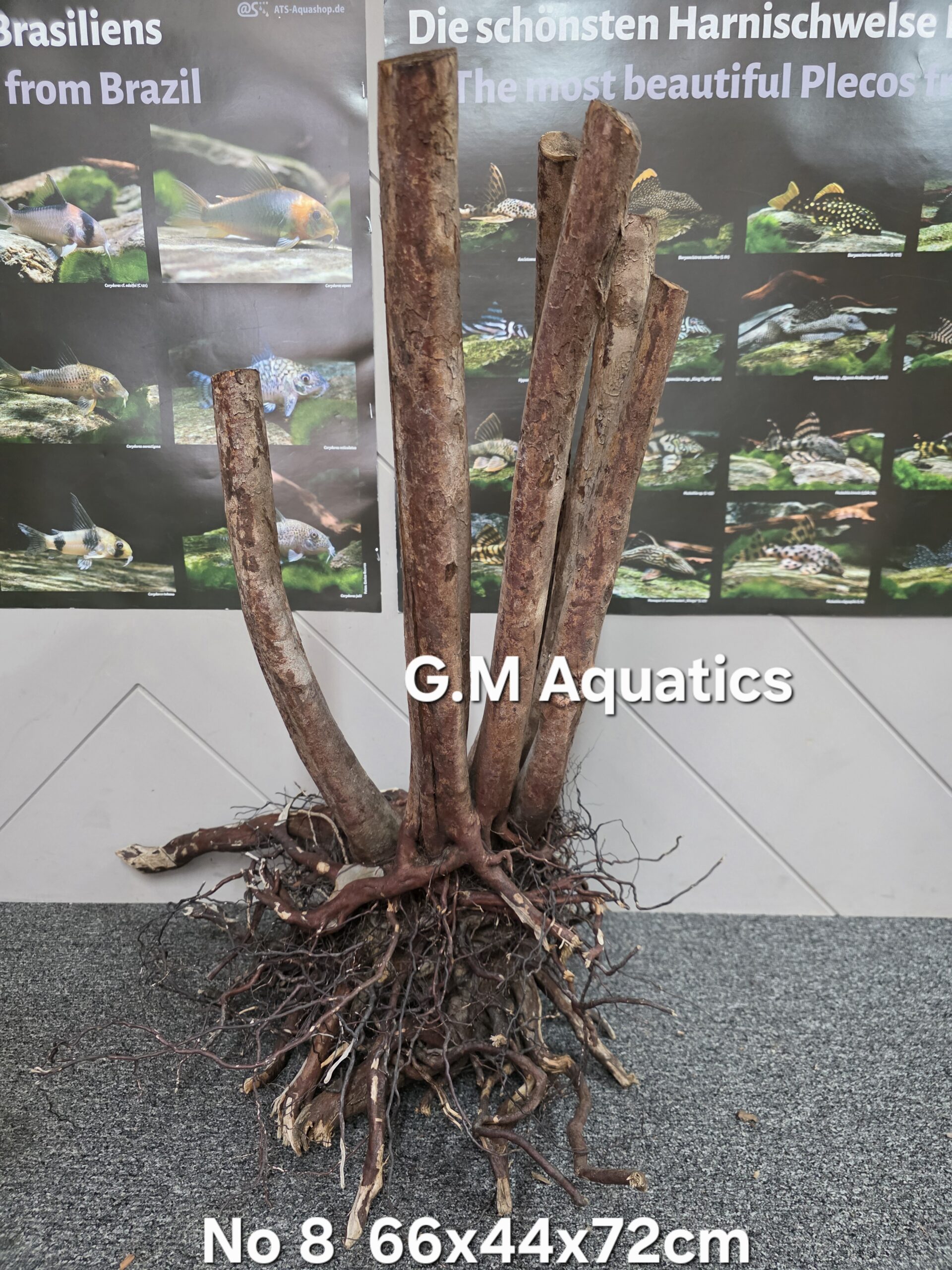 Black stump wood No 8 66x44x72cm