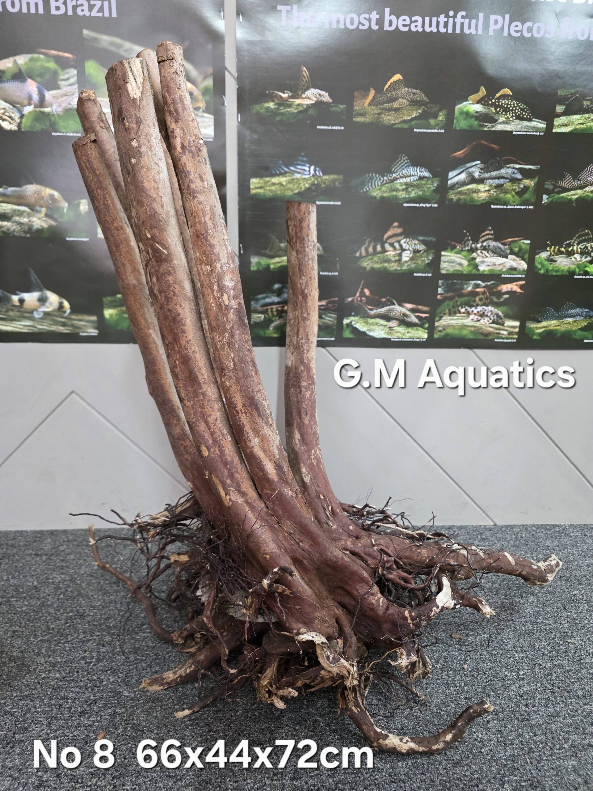 Black stump wood No 8 66x44x72cm - Image 3