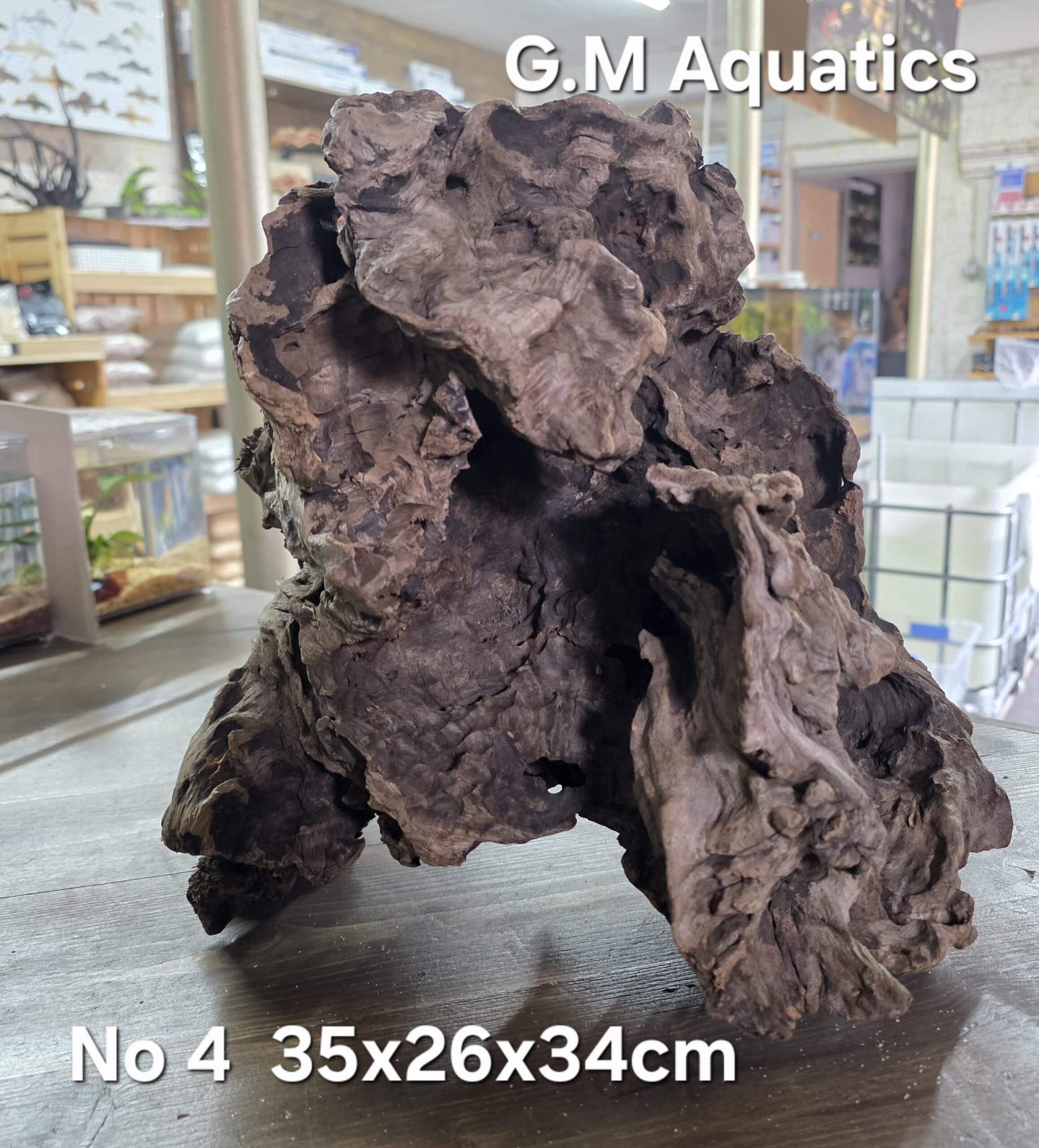 Bog wood / Basin wood No 4 35x26x34cm