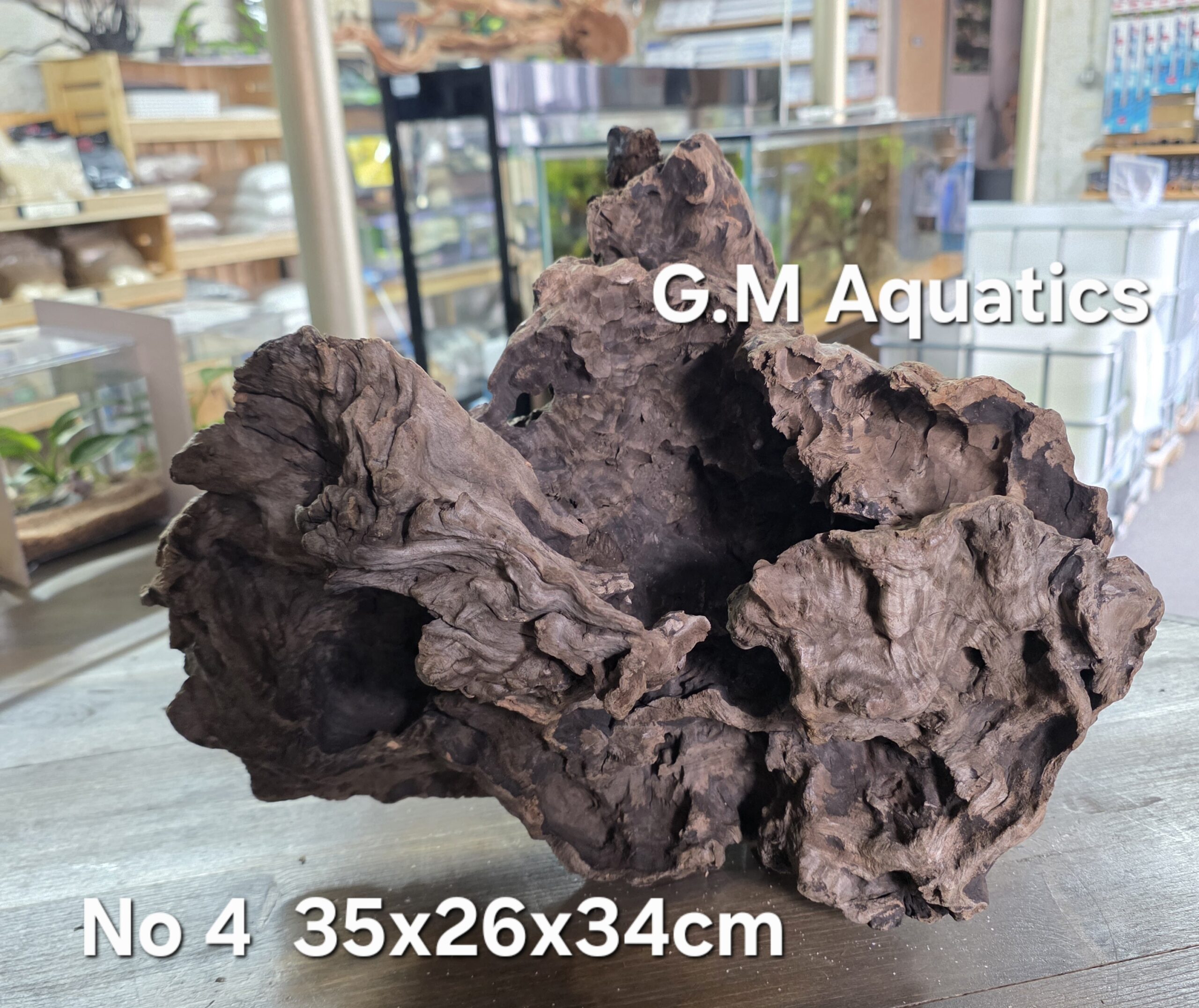 Bog wood / Basin wood No 4 35x26x34cm - Image 4
